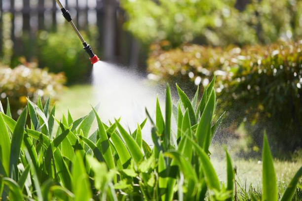 24/7 Emergency Mosquito Control experts in Landmark, AR